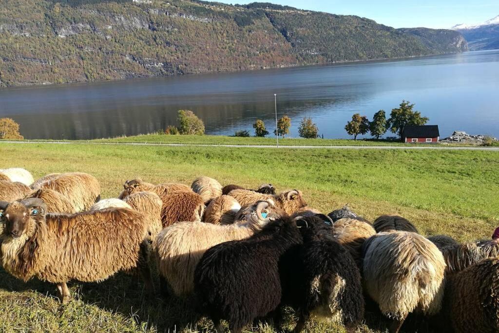 Nordfjordcabins Utvik Экстерьер фото